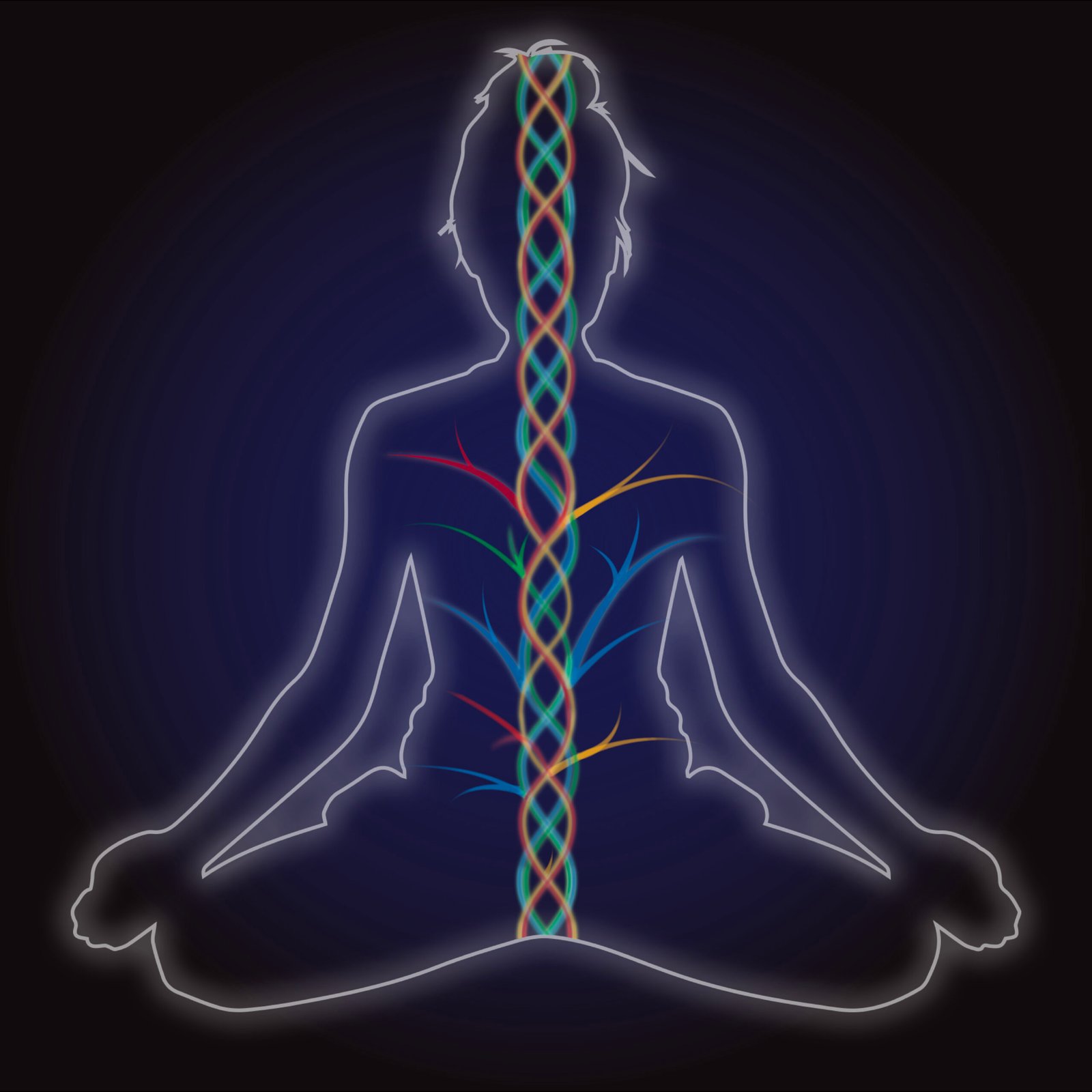 The Energy HEAL-ix™ — the sacred architecture of alignment, by Shimira Veronica